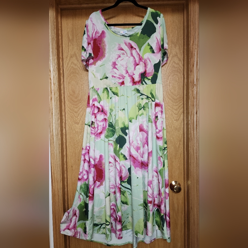LuLaRoe Pastel Pink & Mint Riley Dress